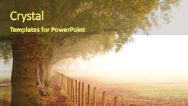  Presentation with autumn morning - Audience pleasing PPT layouts consisting of beautiful big trees in autumn colours by the side of a fence next to an open field on a misty morning backdrop and a tawny brown colored foreground