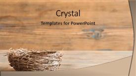  Presentation with rustic wood wooden frame - Presentation featuring beautiful little bird's nest background and a coral colored foreground