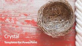  Presentation with love bird - Beautiful presentation design featuring beautiful little bird's nest backdrop and a coral colored foreground
