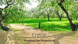  Presentation with nature sun trees - Slide deck enhanced with beautiful blooming of decorative white apple and fruit trees over bright blue sky in colorful vivid spring park full of green grass by dawn early light with first sun rays fairy heart of nature background and a coral colored foreground