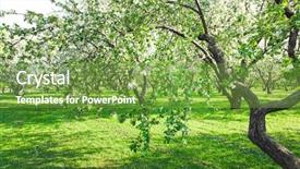  Presentation with nature sun trees - Theme with man shows a fist double exposure on a white background background and a light gray colored foreground