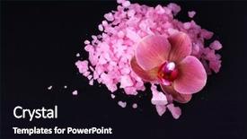  Presentation with black sea - Slide set with beautiful-blooming-orchid-flower background and a black colored foreground