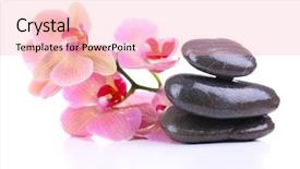  Presentation with beautiful fresh leaves water drops - Presentation design consisting of beautiful blooming orchid with water background and a lemonade colored foreground