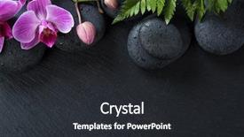  Presentation with spa stones leaves - Theme enhanced with beautiful blooming orchids with fern background and a dark gray colored foreground