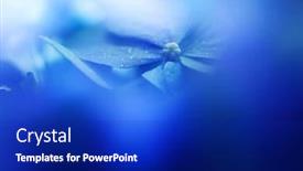  Presentation with hydrangea - Audience pleasing presentation design consisting of beautiful-blue-blue-hydrangea-hydrangea backdrop and a royal blue colored foreground