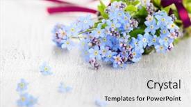  Presentation with forget - Amazing theme having beautiful blue forget-me-not backdrop and a white colored foreground