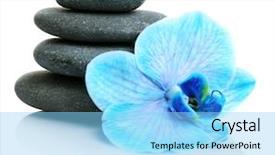  Presentation with orchid - Audience pleasing slide deck consisting of beautiful blue orchid with pile backdrop and a  colored foreground