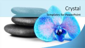  Presentation with medical pill medicine white blue - Cool new slides with beautiful blue orchid with pile backdrop and a  colored foreground