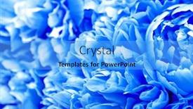  Presentation with peony - PPT theme enhanced with beautiful-blue-peony-flowers-close and a light blue colored foreground