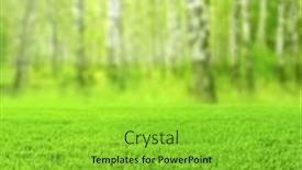  Presentation with spring nature grass - Theme with beautiful-blurred-vertical-spring-landscape background and a yellow colored foreground