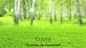  Presentation with spring nature grass - Slide set enhanced with beautiful-blurred-vertical-spring-landscape background and a yellow colored foreground