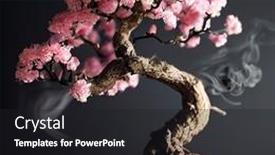  Presentation with bonsai - PPT layouts consisting of beautiful-bonsai-tree background and a dark gray colored foreground