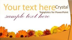  Presentation with flowers border - Colorful theme enhanced with beautiful border from fresh flowers backdrop and a cream colored foreground