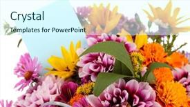  Presentation with bright - Slides featuring beautiful bouquet of bright flowers background and a  colored foreground
