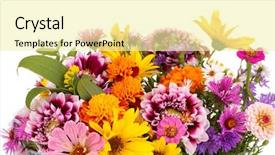  Presentation with bright white - Beautiful PPT theme featuring beautiful bouquet of bright flowers backdrop and a blonde colored foreground