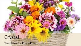  Presentation with bright white - Amazing theme having beautiful bouquet of bright flowers backdrop and a yellow colored foreground