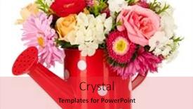  Presentation with flowers vase - Audience pleasing slide deck consisting of beautiful bouquet of bright flowers in color vase isolated on white backdrop and a red colored foreground