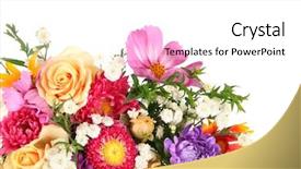  Presentation with beautiful flowers border floral design - Beautiful slide deck featuring beautiful bouquet of bright flowers backdrop and a white colored foreground