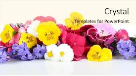  Presentation with beautiful flowers border floral design - Colorful PPT theme enhanced with beautiful bouquet of bright flowers backdrop and a blonde colored foreground
