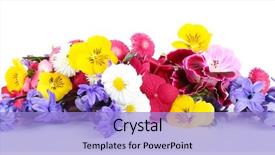  Presentation with bright white - Cool new slide deck with beautiful bouquet of bright flowers backdrop and a light blue colored foreground