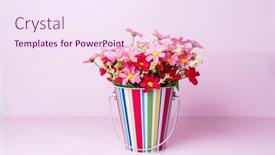  Presentation with pink flowers - Colorful slide set enhanced with beautiful-bouquet-of-colorful-artificial backdrop and a sky blue colored foreground
