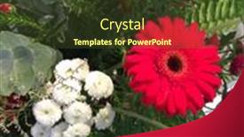  Presentation with flowers vase - Amazing PPT layouts having beautiful-bouquet-of-mixed-flowers backdrop and a tawny brown colored foreground