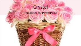  Presentation with pink and white roses - Presentation design having beautiful bouquet of pink roses background and a coral colored foreground