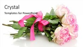  Presentation with pink roses - PPT layouts having beautiful bouquet of pink roses background and a white colored foreground