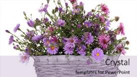  Presentation with purple flowers - Slides enhanced with beautiful bouquet of purple flowers in basket isolated on white background and a light blue colored foreground