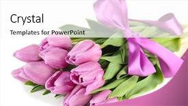  Presentation with tulips - Colorful PPT theme enhanced with beautiful bouquet of purple tulips backdrop and a  colored foreground