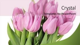  Presentation with purple floral shield - PPT layouts with abstract background of the beautiful sunset spectrum background and a sky blue colored foreground