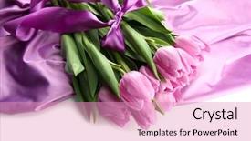  Presentation with satin - Beautiful presentation featuring beautiful-bouquet-of-purple-tulips backdrop and a coral colored foreground