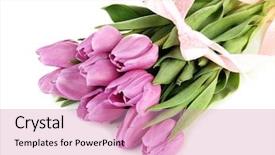  Presentation with purple gold floral - PPT theme consisting of beautiful bouquet of purple tulips background and a  colored foreground