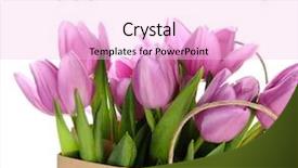  Presentation with crucifixion crown purple - Cool new slide deck with beautiful bouquet of purple tulips backdrop and a lemonade colored foreground