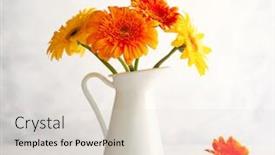  Presentation with mustard seeds yellow flowers - Slide set with beautiful-bouquet-of-red background and a lemonade colored foreground