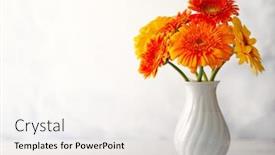  Presentation with flowers vase - Audience pleasing slide set consisting of beautiful-bouquet-of-red backdrop and a sky blue colored foreground