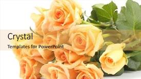  Presentation with roses - Amazing PPT layouts having beautiful-bouquet-of-roses-isolated backdrop and a yellow colored foreground