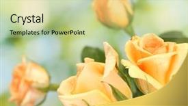  Presentation with beautiful green - PPT theme featuring tree at home the magic background and a tawny brown colored foreground