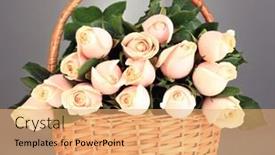  Presentation with roses - 