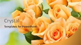  Presentation with beautiful green - PPT theme featuring beautiful-bouquet-of-roses background and a yellow colored foreground