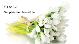  Presentation with history earth globe isolated white - Colorful PPT layouts enhanced with beautiful bouquet of snowdrops isolated backdrop and a white colored foreground