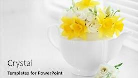  Presentation with teapot - Colorful presentation design enhanced with beautiful bouquet of yellow daffodils backdrop and a white colored foreground