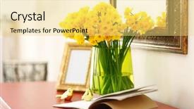  Presentation with narcissus - PPT theme consisting of beautiful bouquet of yellow narcissus background and a yellow colored foreground