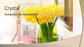  Presentation with narcissus - Beautiful theme featuring beautiful bouquet of yellow narcissus backdrop and a yellow colored foreground