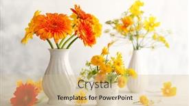  Presentation with white flowers - Colorful theme enhanced with beautiful-bouquets-of-red backdrop and a coral colored foreground