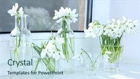  Presentation with babbling brook beautiful reflections - Colorful slide set enhanced with beautiful bouquets of snowdrops backdrop and a sky blue colored foreground
