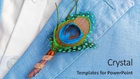  Presentation with feather cartoon - Colorful slide set enhanced with beautiful boutonniere with feather backdrop and a light blue colored foreground