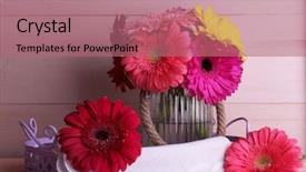  Presentation with bright - Slide set featuring beautiful bright gerberas in vase background and a coral colored foreground