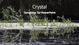  Presentation with green foliage - PPT theme enhanced with beautiful-bright-green-summer-foliage and a dark gray colored foreground