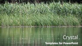  Presentation with green foliage - Presentation enhanced with beautiful-bright-green-summer-foliage background and a tawny brown colored foreground